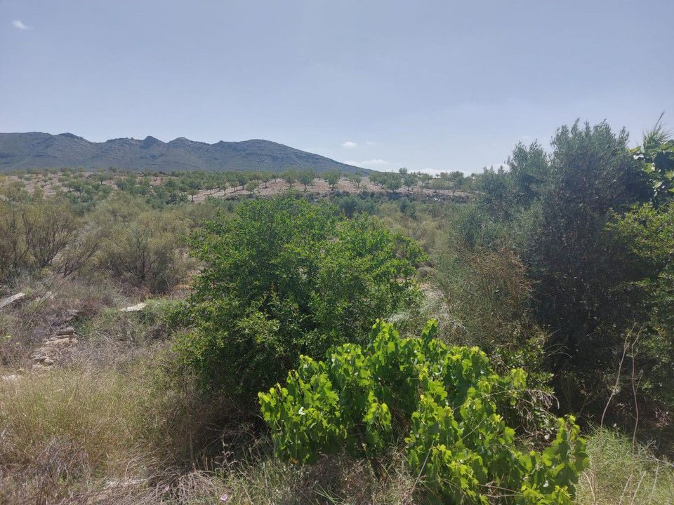 Helårsgrund i Sorbas, Almeria - foto 5