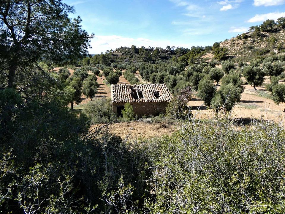 Finca i Maella, Zaragoza - bilde 2