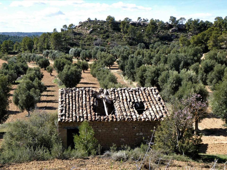Finca i Maella, Zaragoza - bilde 3