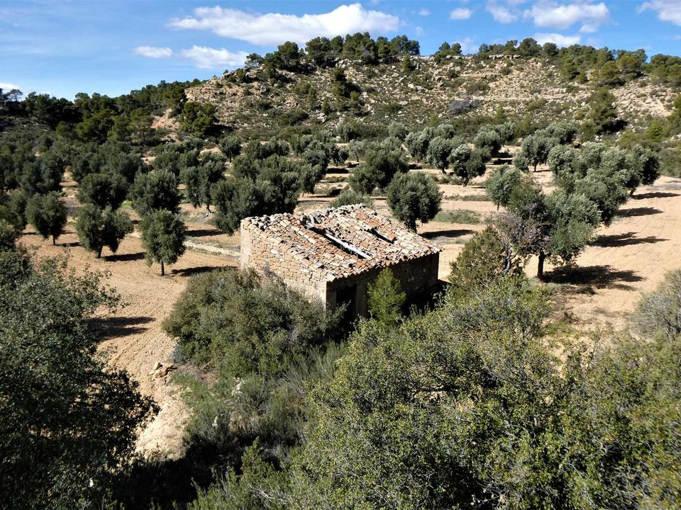 Finca i Maella, Zaragoza - bilde 1