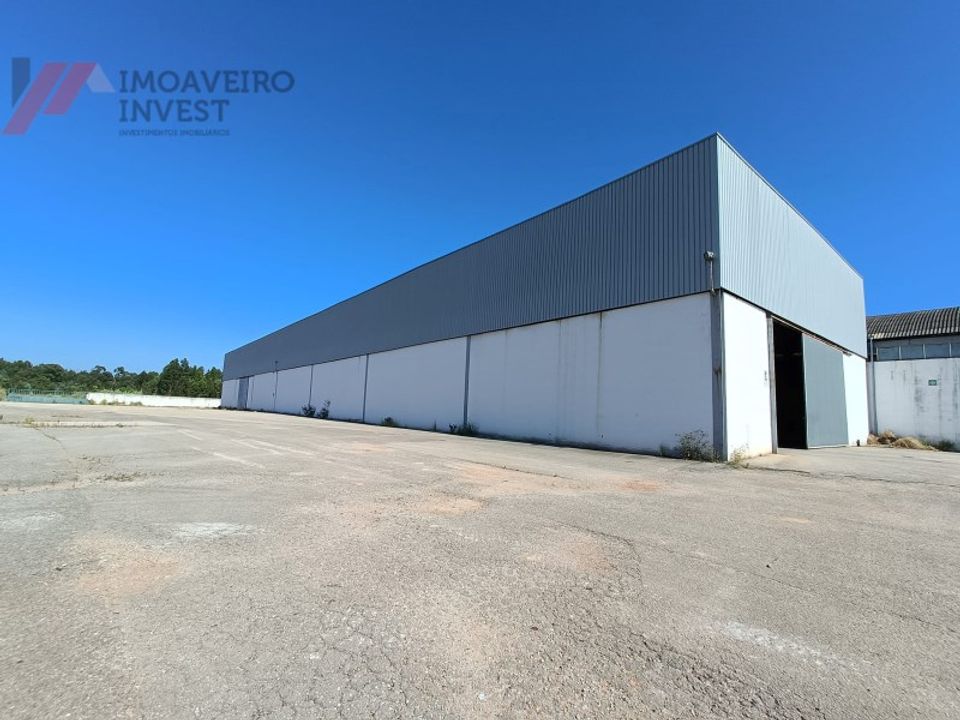 Erhvervsejendom i Aguada de Cima, Aveiro - foto 2