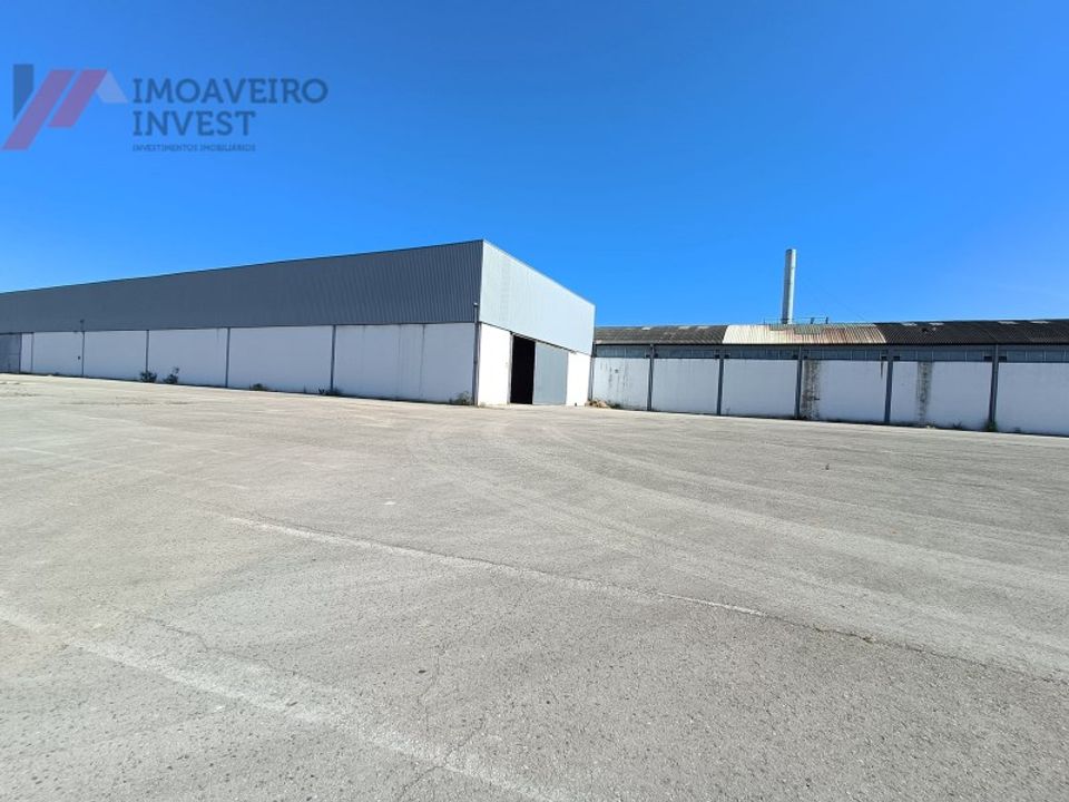 Erhvervsejendom i Aguada de Cima, Aveiro - foto 4