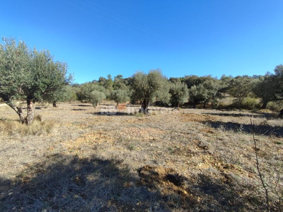 Helårsgrund i Tomar, Santarem - foto 1