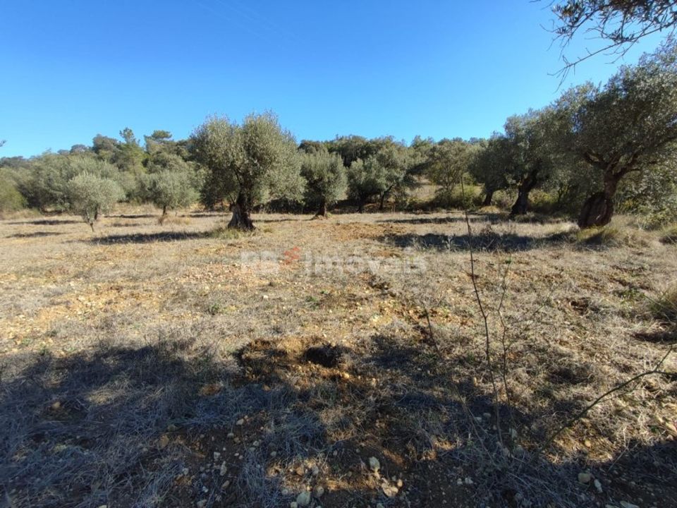 Helårsgrund i Tomar, Santarem - foto 2