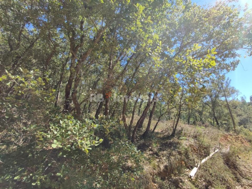 Helårsgrund i Ferreira do Zezere, Santarem - foto 2