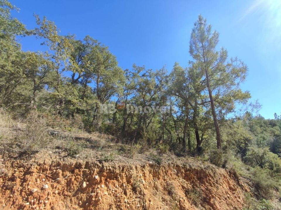 Helårsgrund i Ferreira do Zezere, Santarem - foto 4