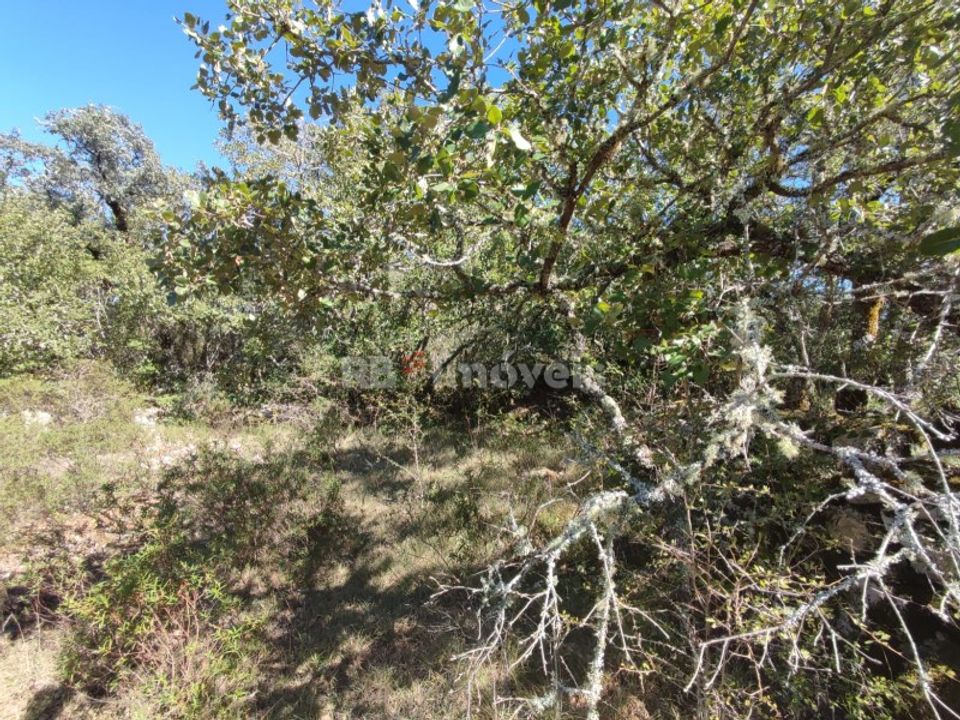 Helårsgrund i Tomar, Santarem - foto 1