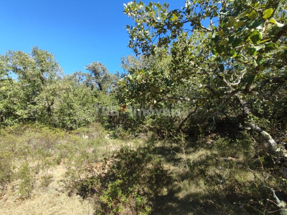 Helårsgrund i Tomar, Santarem - foto 2