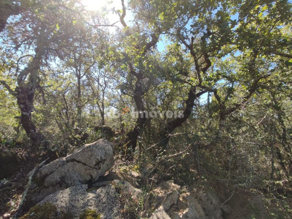 Helårsgrund i Tomar, Santarem - foto 4