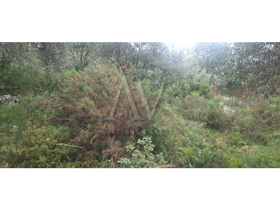 Villa i Porto de Mos, Leiria - foto 4