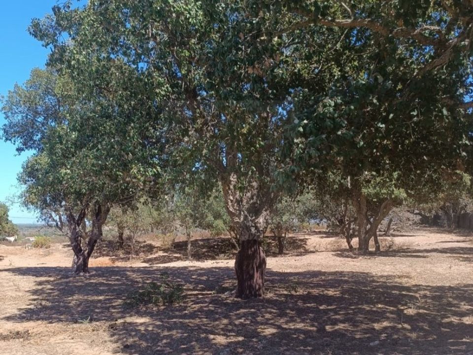 Helårsgrund i Barao de Sao Joao, Faro - foto 4