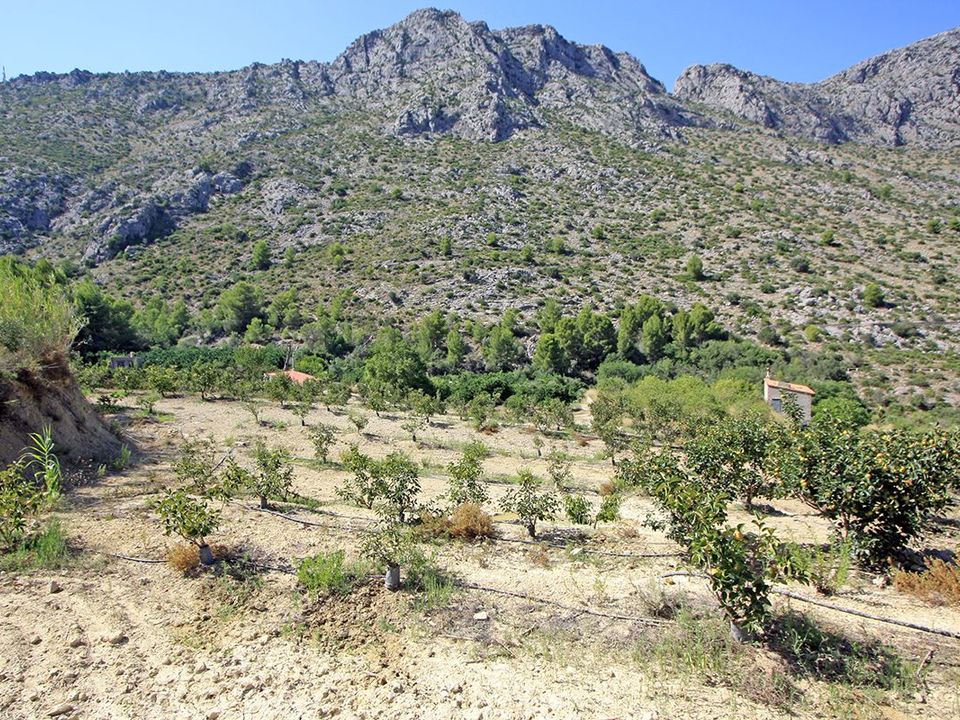 Grond in Beniarbeig, Alicante - foto 1