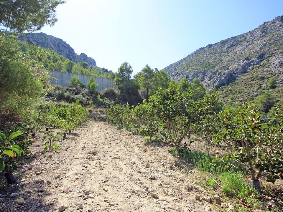 Grond in Beniarbeig, Alicante - foto 3