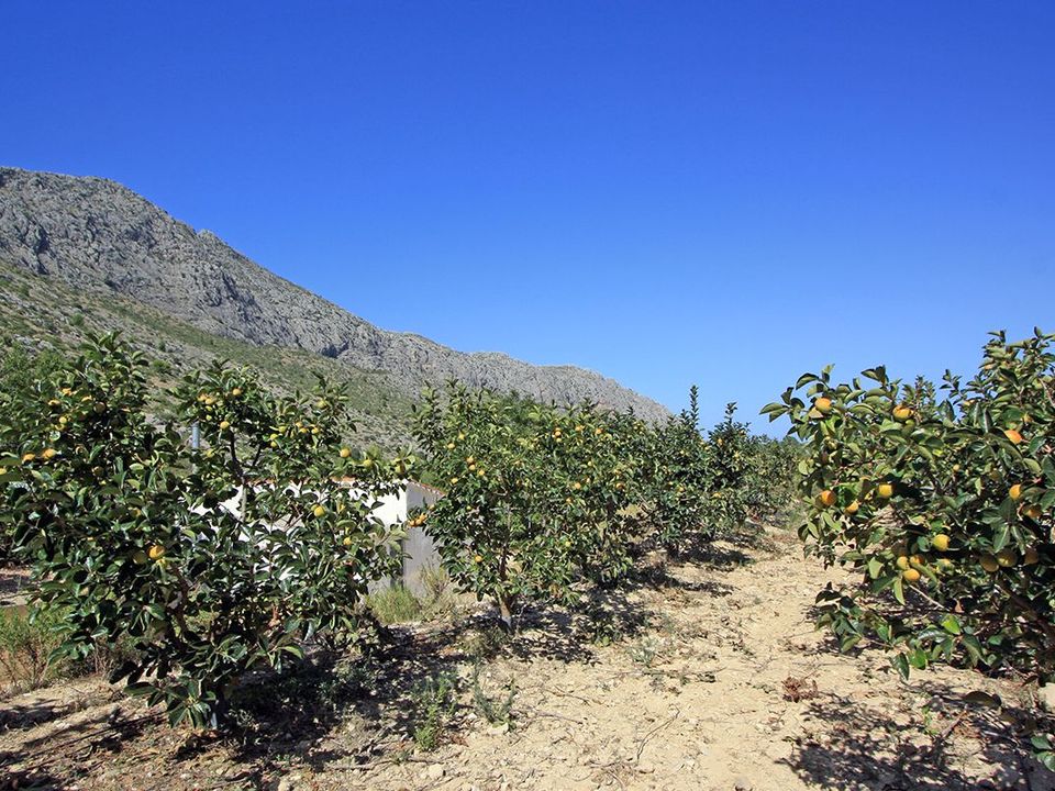Grond in Beniarbeig, Alicante - foto 4