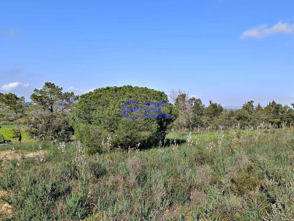 Helårsgrund i Armacao de Pera, Faro - foto 4