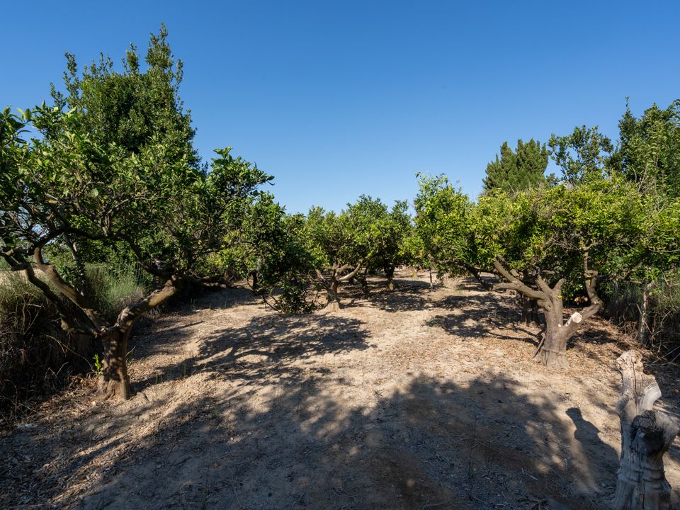 Finca i Deltebre, Tarragona - foto 4