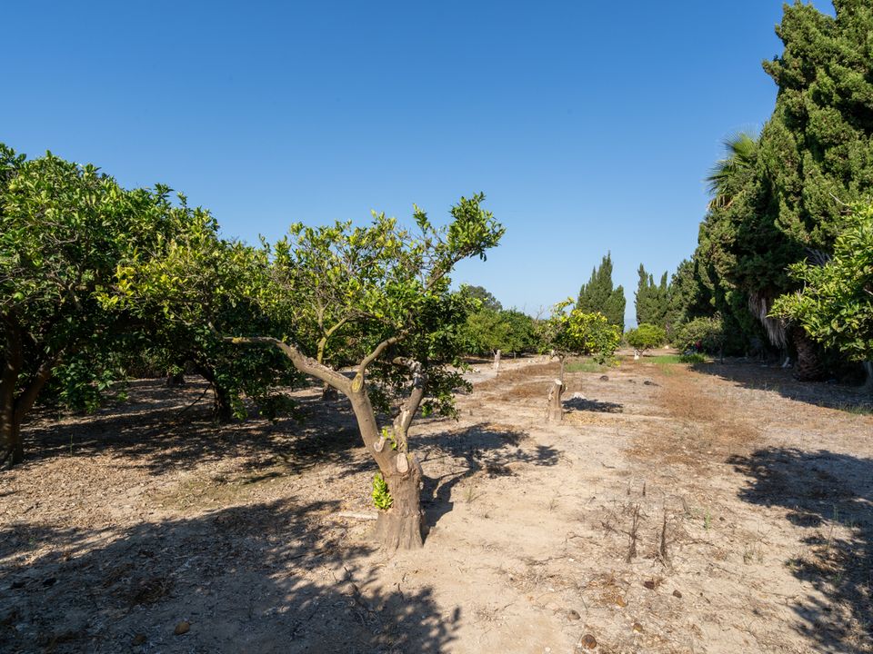 Finca i Deltebre, Tarragona - foto 5