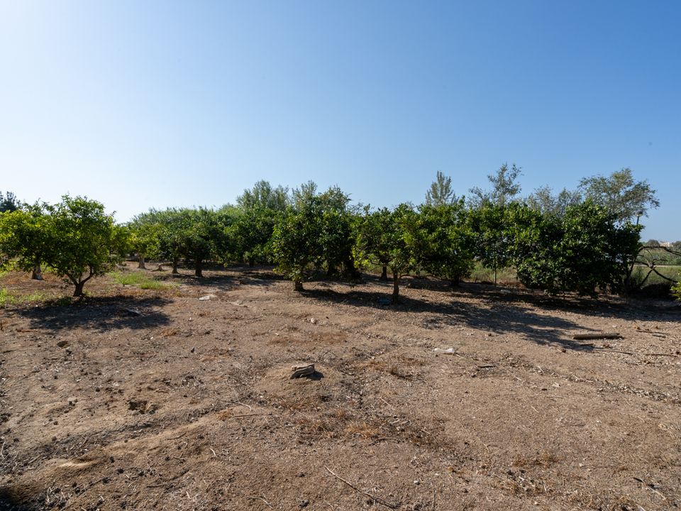 Finca i Deltebre, Tarragona - foto 3