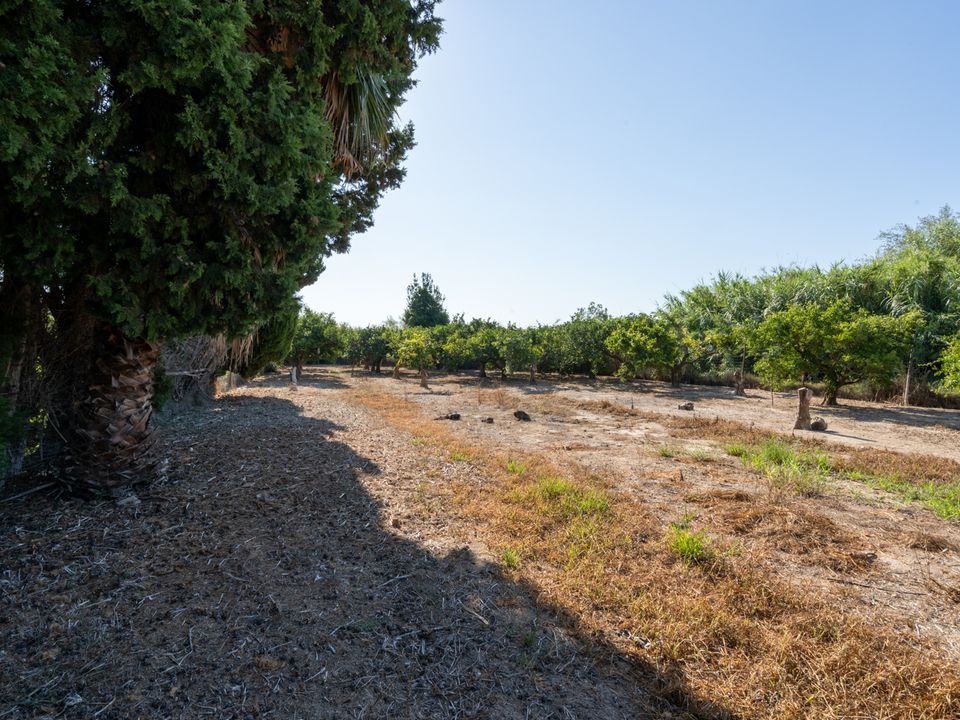 Finca i Deltebre, Tarragona - foto 2