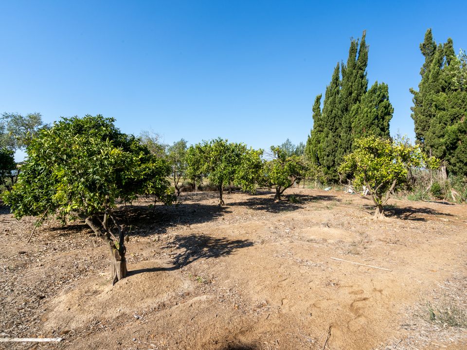 Finca i Deltebre, Tarragona - foto 1