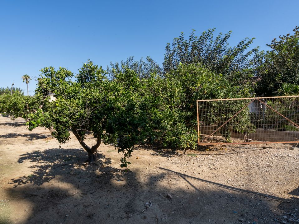 Helårsgrund i Deltebre, Tarragona - foto 4