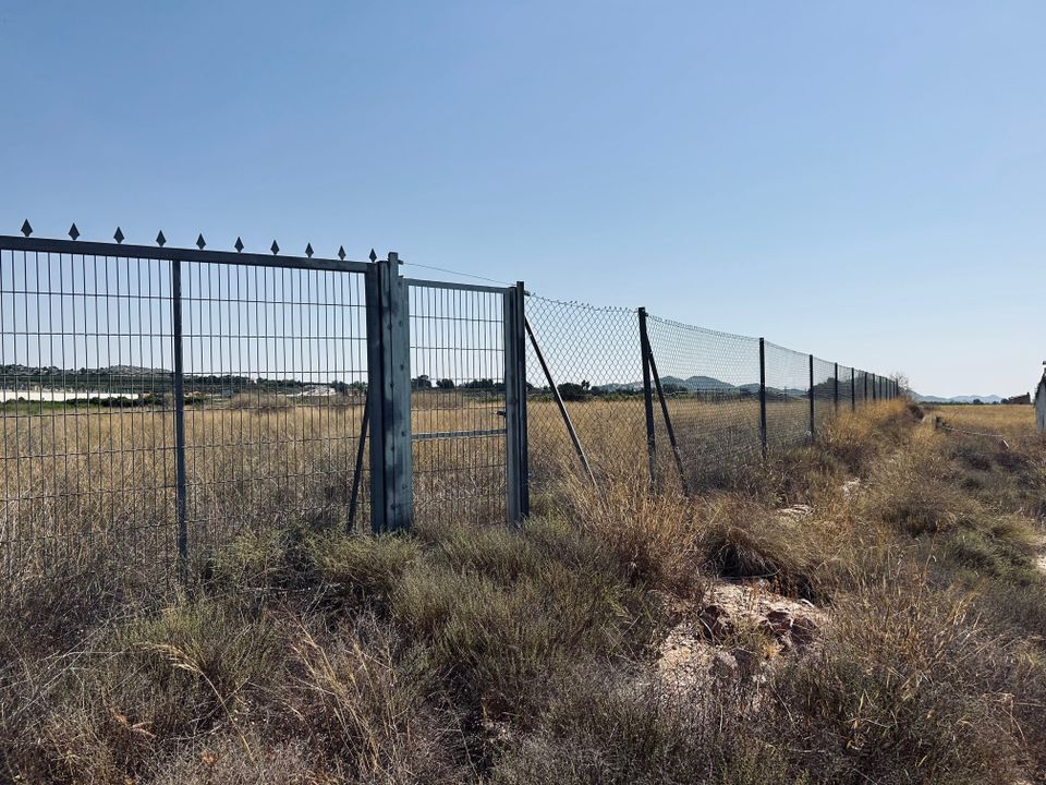 Helårsgrund i La Romana, Alicante - foto 3