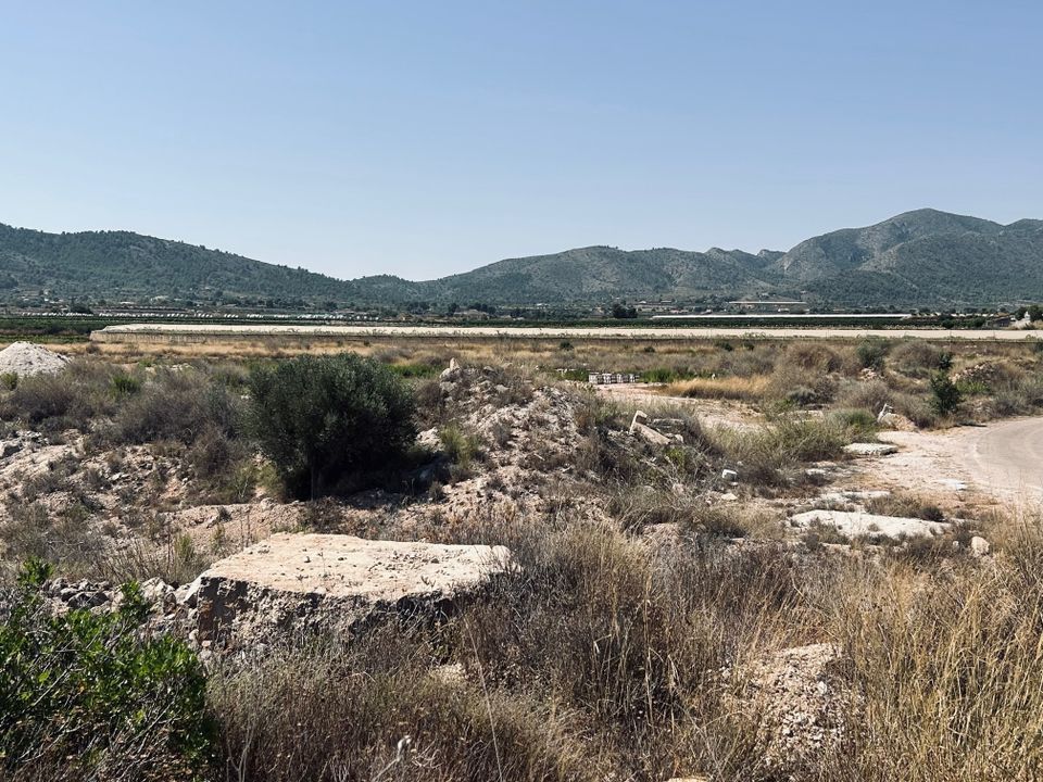 Helårsgrund i La Romana, Alicante - foto 4
