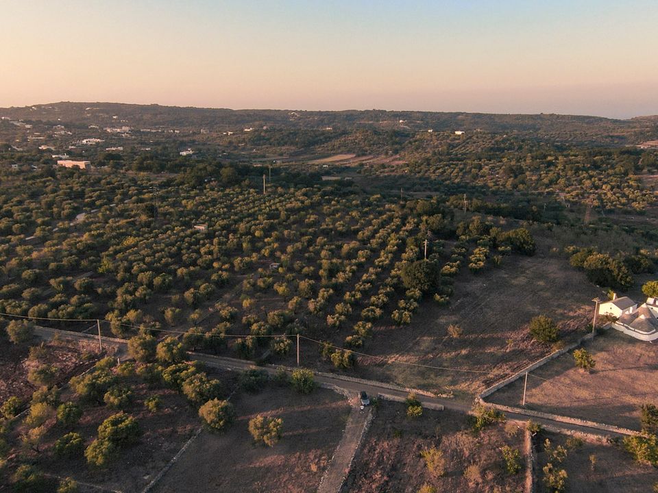 Helårsgrund i Ostuni, Brindisi - foto 4