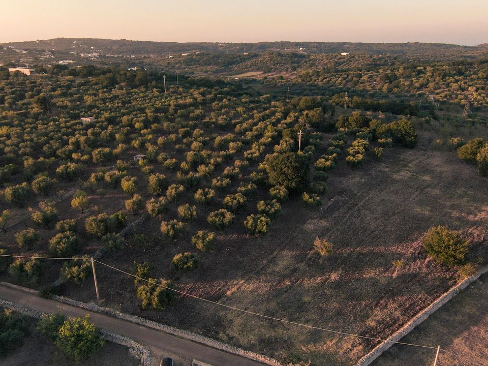 Helårsgrund i Ostuni, Brindisi - foto 5
