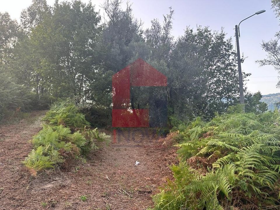 Granja a Vila Verde, Braga - foto 2