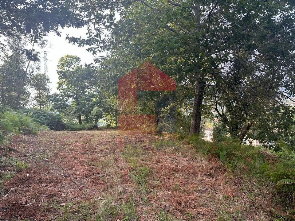 Granja a Vila Verde, Braga - foto 5
