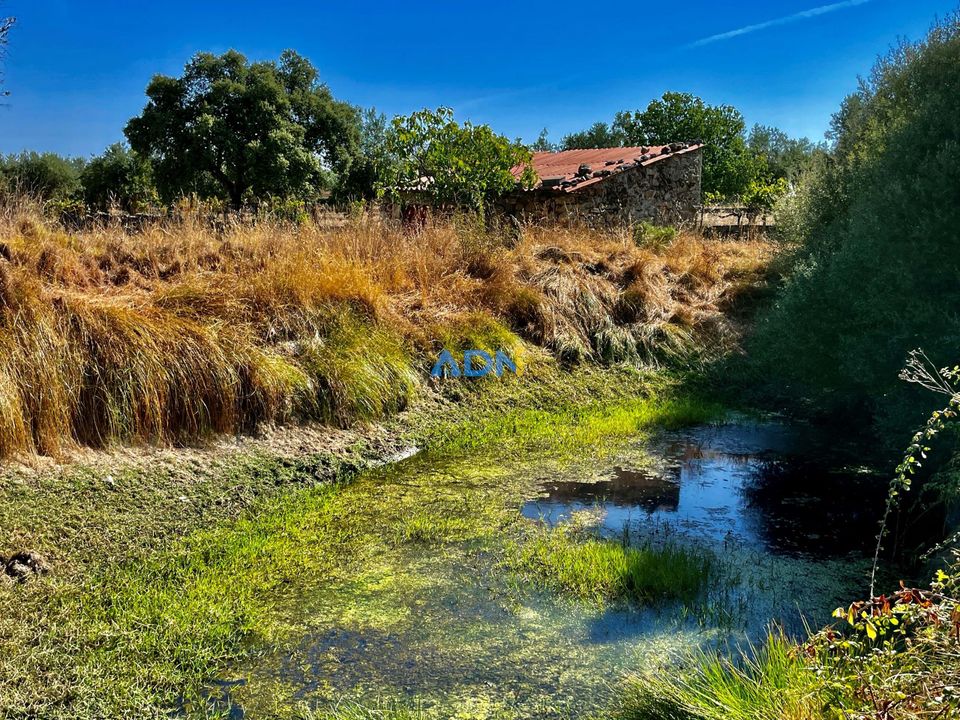 Farm hus i Castelo Branco, Castelo Branco - foto 4