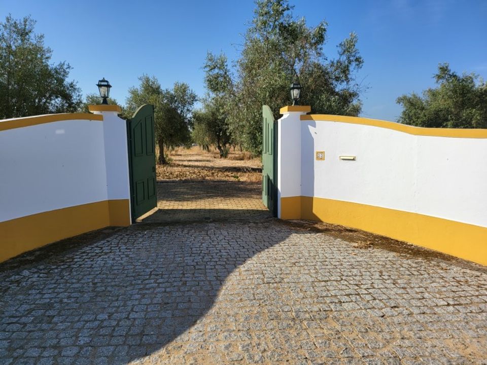 Farm i Avis, Portalegre - foto 2
