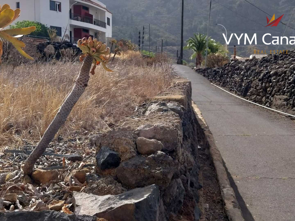 Tomt i Tamaimo, Tenerife - bilde 2