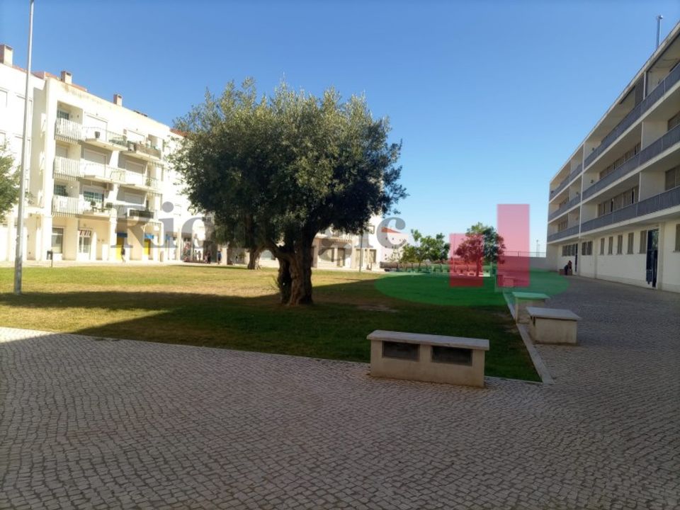 Erhvervsejendom i Azambuja, Lisbon - foto 5