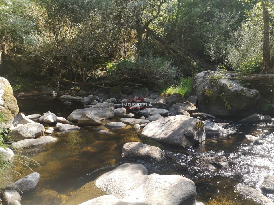 Farm i Oliveira do Hospital, Coimbra - foto 5
