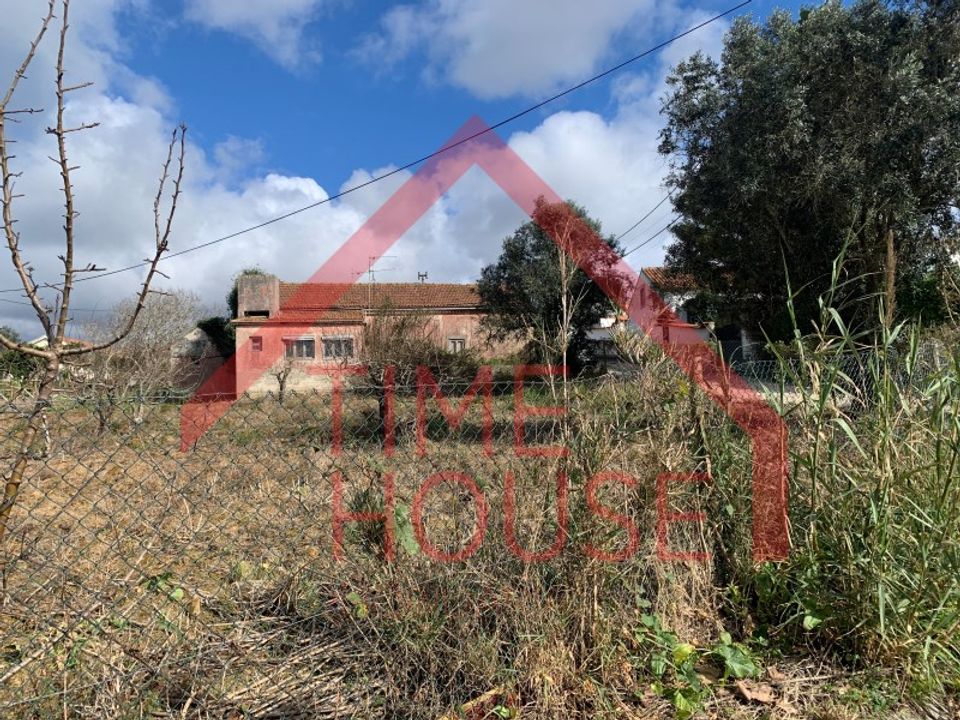 Farm i Gaeiras, Leiria - foto 4