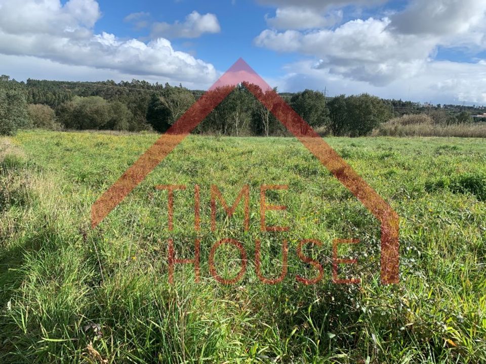 Farm i Gaeiras, Leiria - foto 5