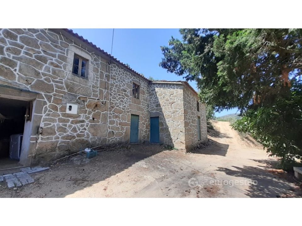 Farm i Lamego, Viseu - foto 1