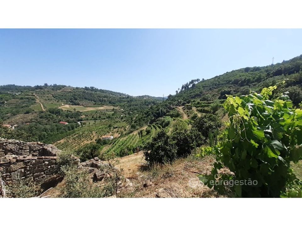 Farm i Lamego, Viseu - foto 3