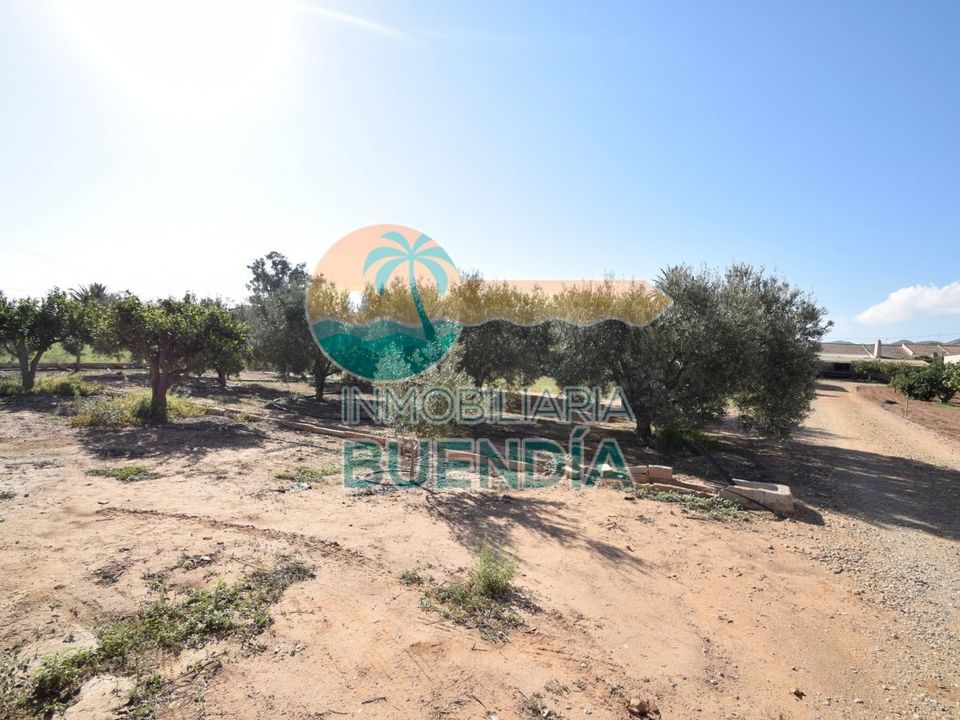 Helårsgrund i Fuente Alamo, Murcia - foto 5