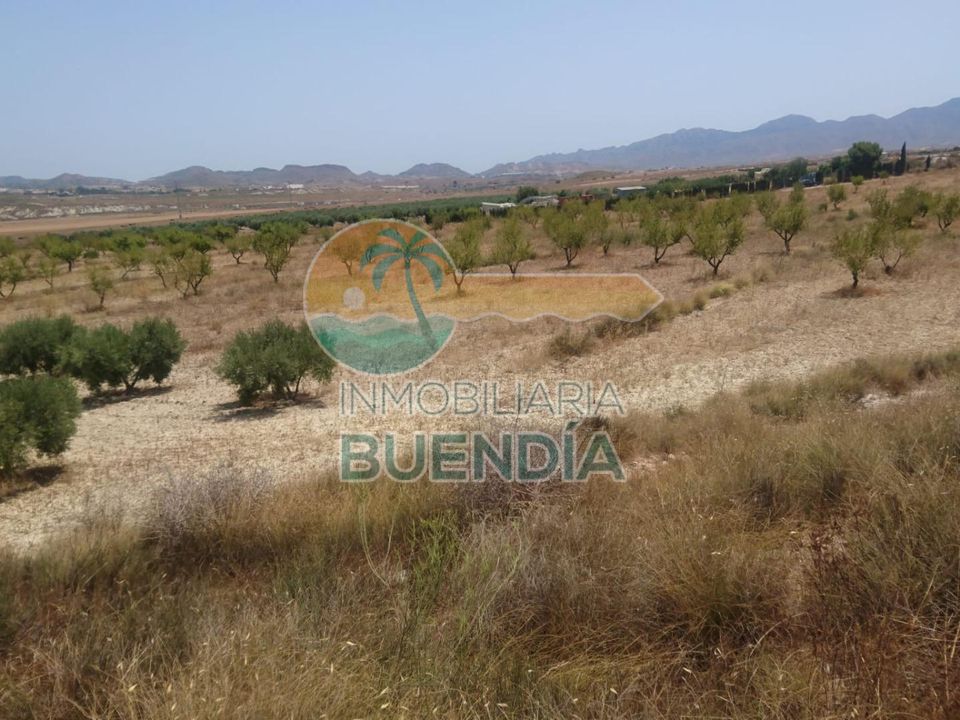 Helårsgrund i Mazarron, Murcia - foto 2