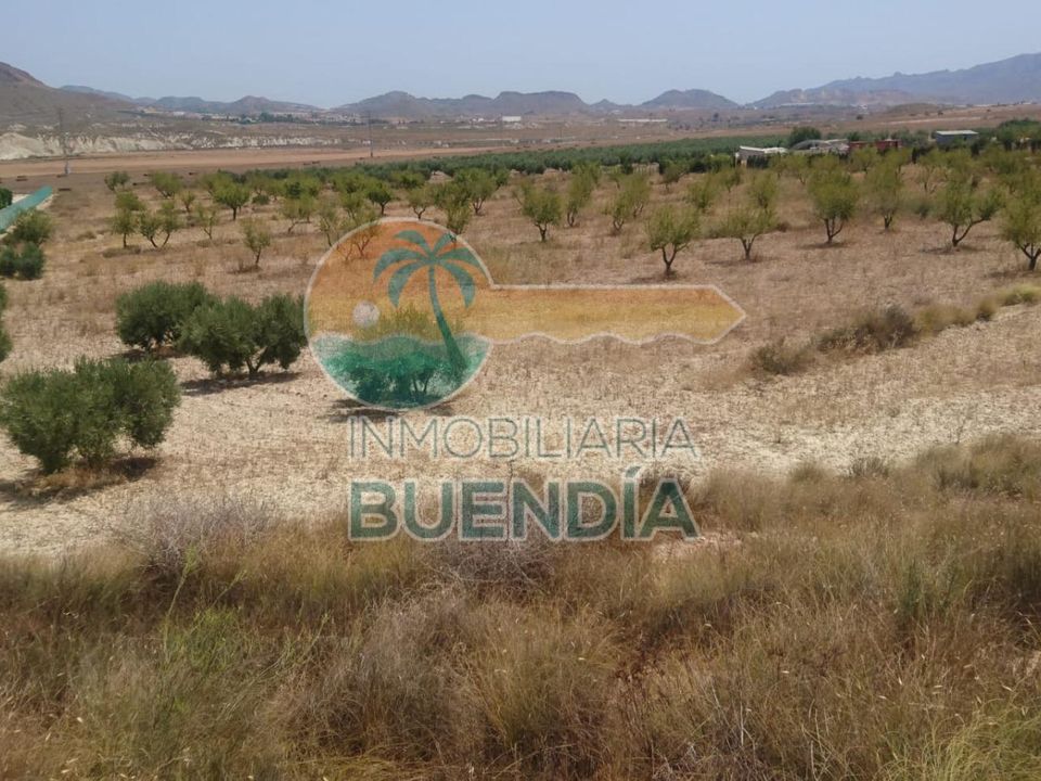 Helårsgrund i Mazarron, Murcia - foto 3