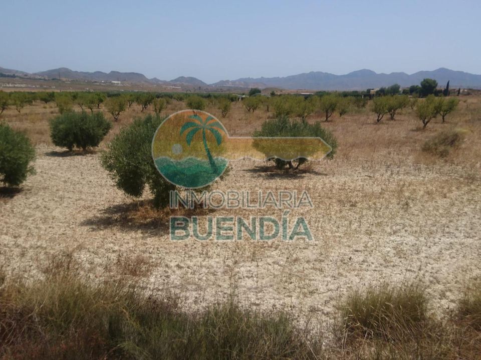 Helårsgrund i Mazarron, Murcia - foto 4
