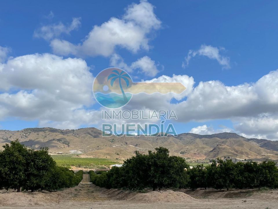 Terra a Lorca, Murcia - foto 1