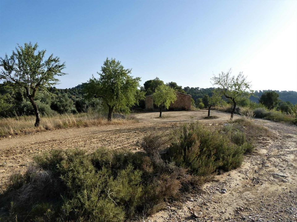 Finca i Maella, Zaragoza - bilde 2