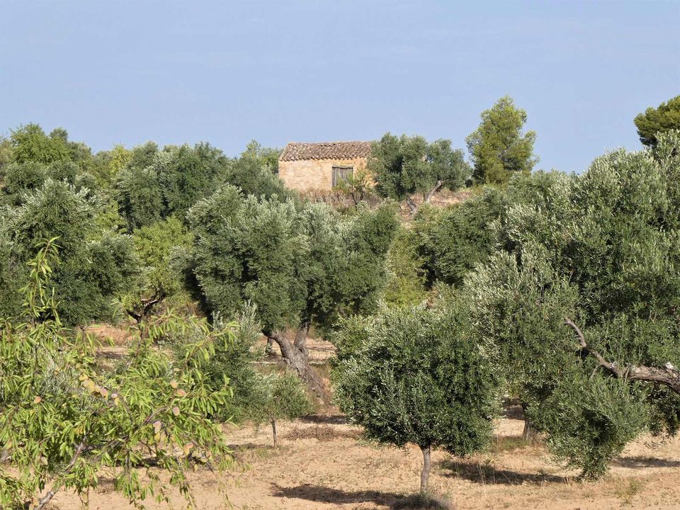 Finca i Maella, Zaragoza - bilde 1