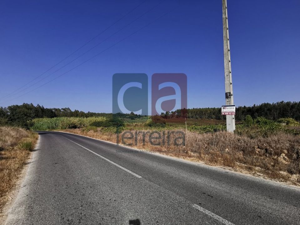 Terreno en Alpiarca, Santarem - foto 1