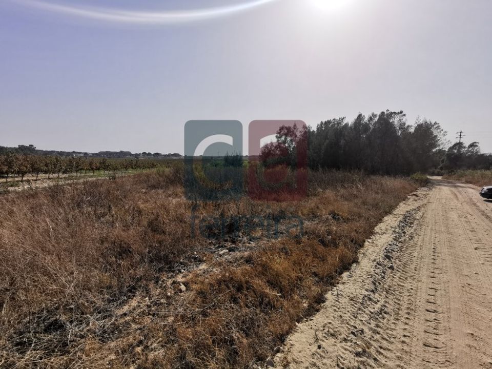 Terreno en Alpiarca, Santarem - foto 2