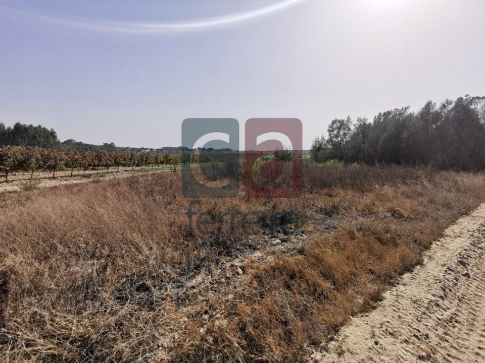 Terreno en Alpiarca, Santarem - foto 3
